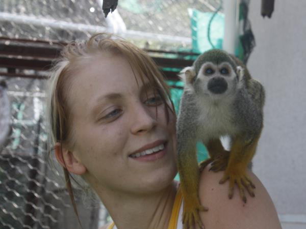 Primate rescue volunteer holiday in South Africa