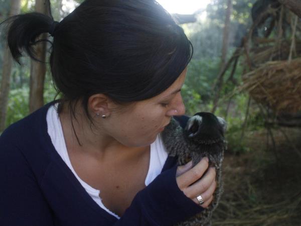Primate rescue volunteer holiday in South Africa
