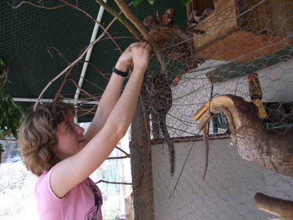 Primate rescue volunteer holiday in South Africa