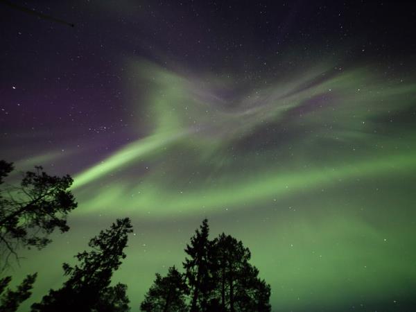 Lapland New Year holiday, Northern Lights