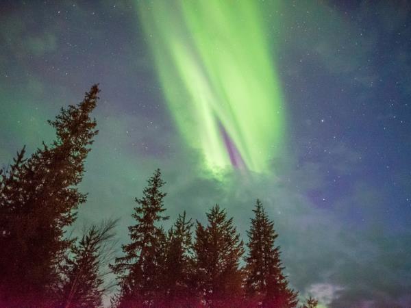 Lapland New Year holiday, Northern Lights