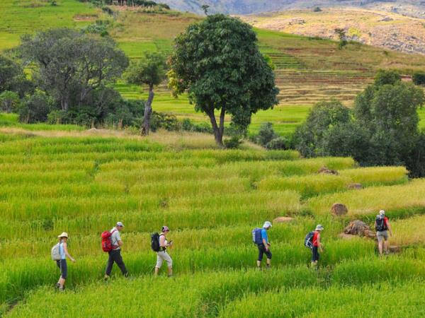 Madagascar conservation holiday