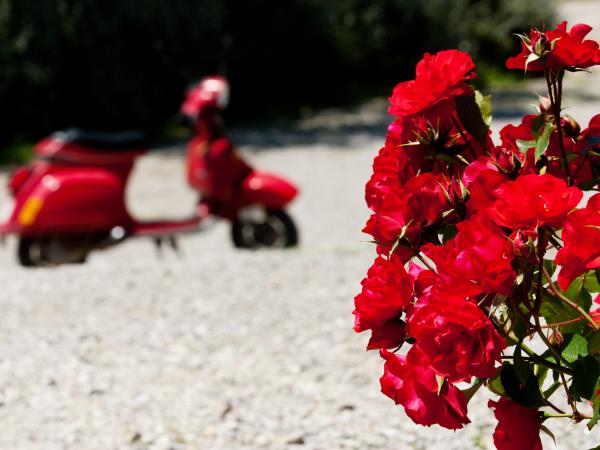 Umbria cooking and painting holiday, Italy