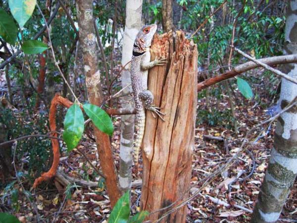 Madagascar North Coast adventure holiday