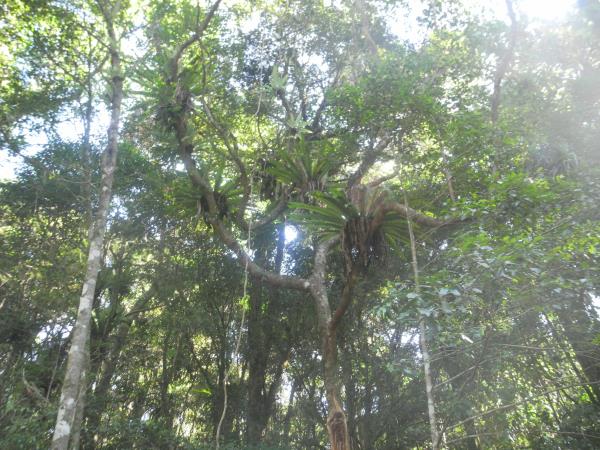 Madagascar North Coast adventure holiday