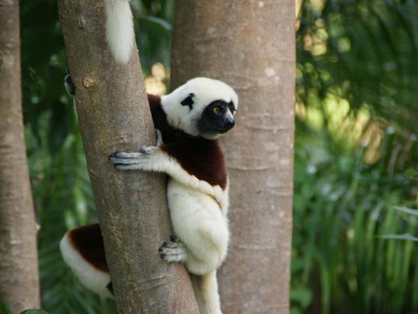 Madagascar family adventure holiday