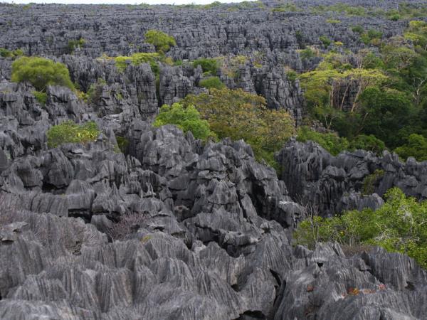 Madagascar family adventure holiday