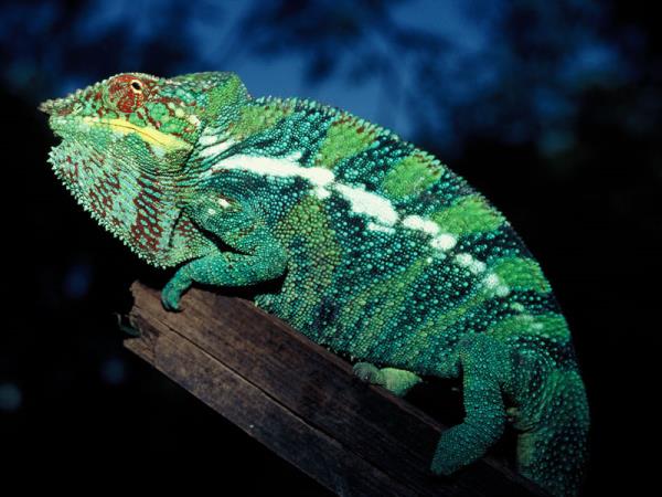 Madagascar family adventure holiday
