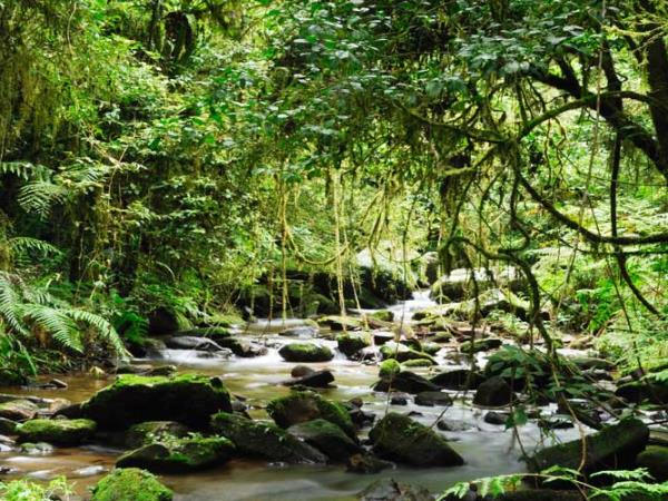 Madagascar family holiday, wild country & whales