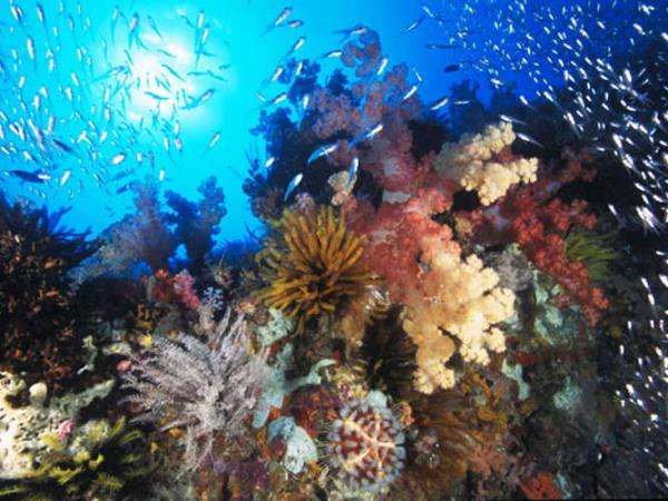 Flores & Komodo holiday, Indonesia