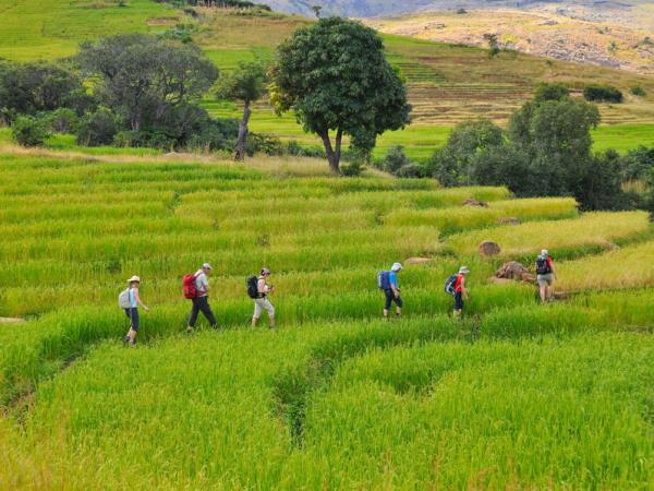 Eastern Madagascar trekking holiday