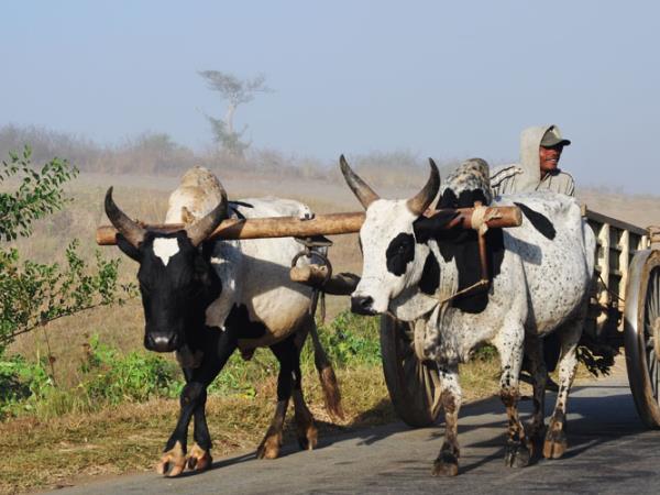 Madagascar trekking and rafting expedition