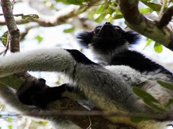 Trekking and rafting expedition in Madagascar