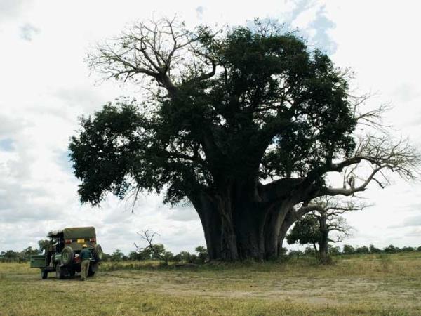 Tanzania camping safari, Selous and Ruaha