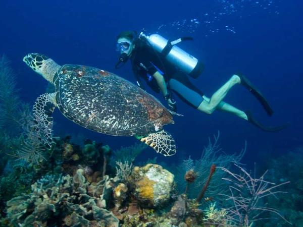 Belize sea kayaking holiday