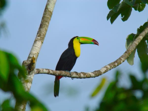 Belize sea kayaking holiday