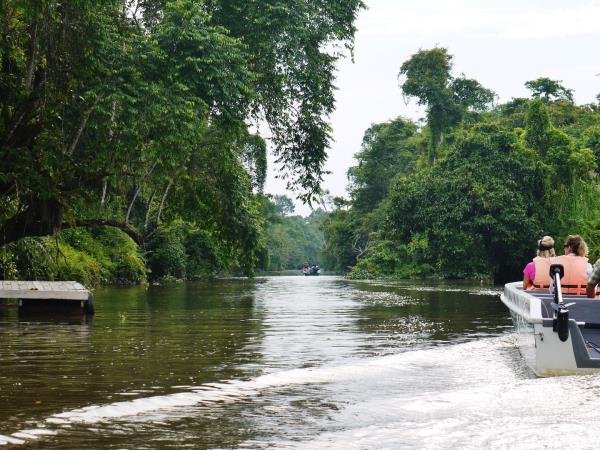 Borneo wildlife holidays