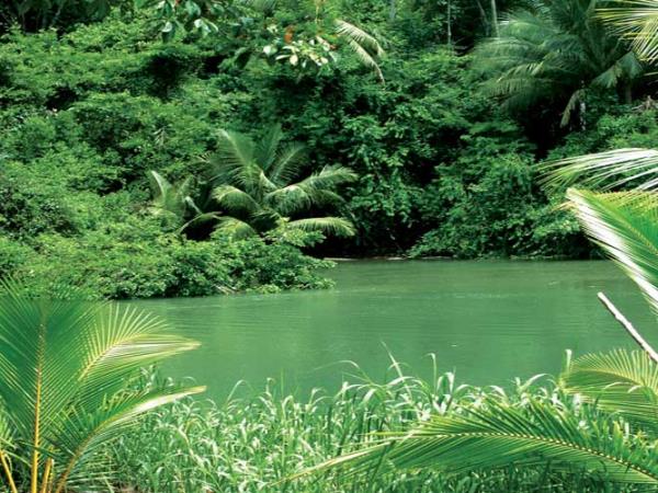 Costa Rica family adventure, tailor made