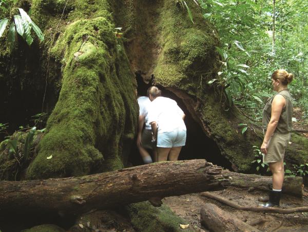 Costa Rica raft and trek adventure