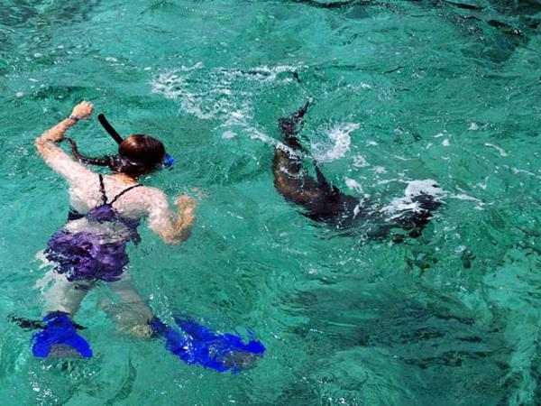 Galapagos activity holiday, tailor made