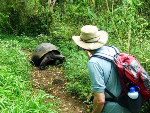 Galapagos activity holiday, tailor made