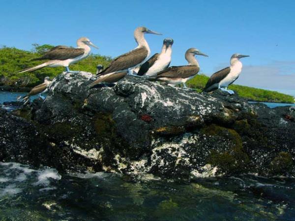 Galapagos activity holiday, tailor made
