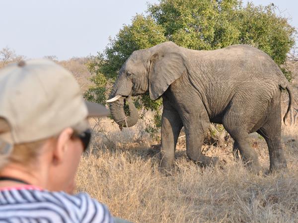 Ten day wildlife safari, South Africa