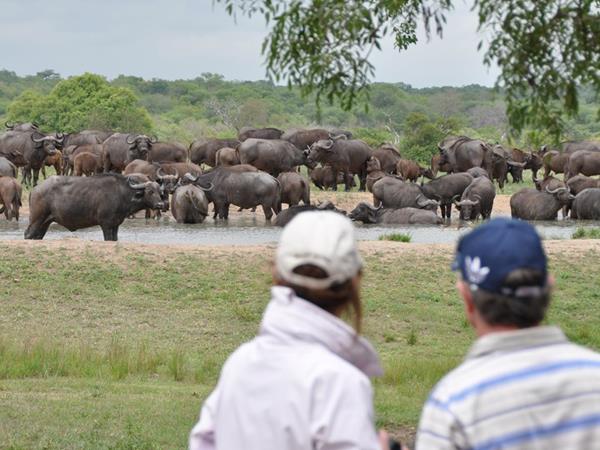 Ten day wildlife safari, South Africa