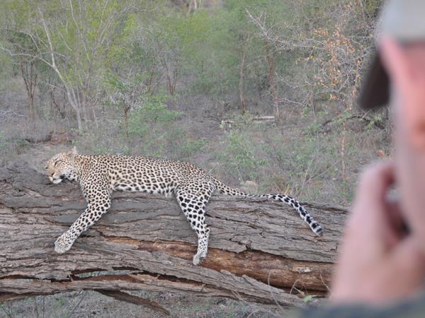 Ten day wildlife safari, South Africa