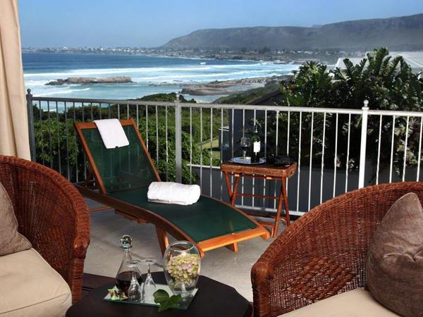 Wildlife safari and whale watching in South Africa