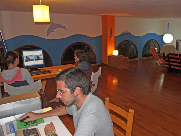 Dolphin conservation in Greece
