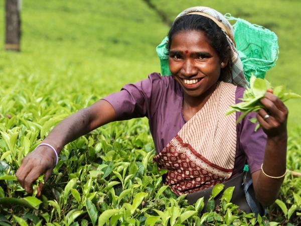 Sri Lanka holidays, tailor made