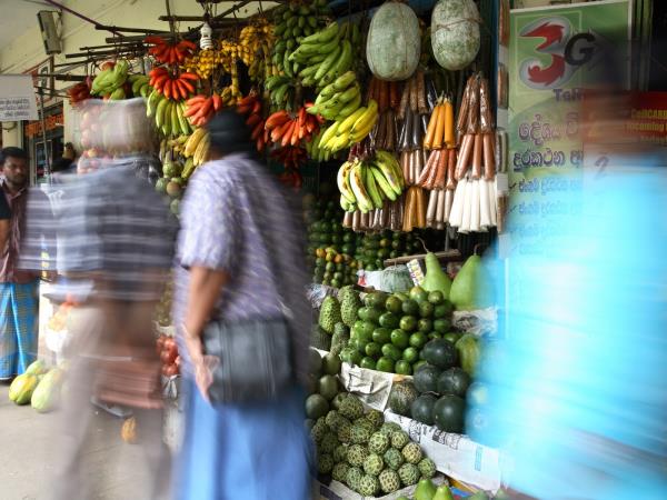 Sri Lanka holidays, tailor made