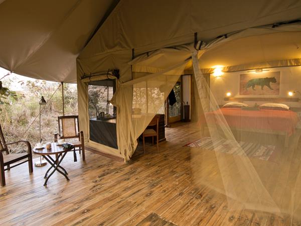 India tiger safaris