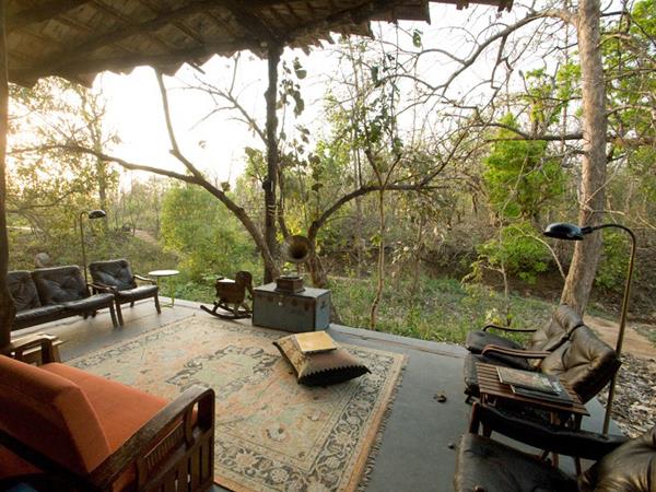 India tiger safaris