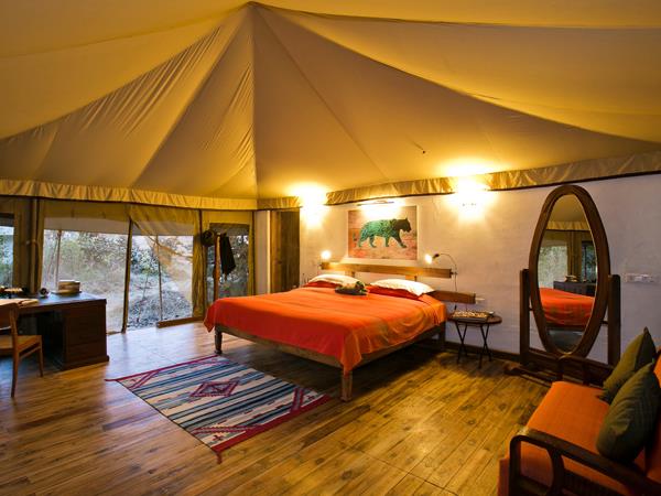 India tiger safaris