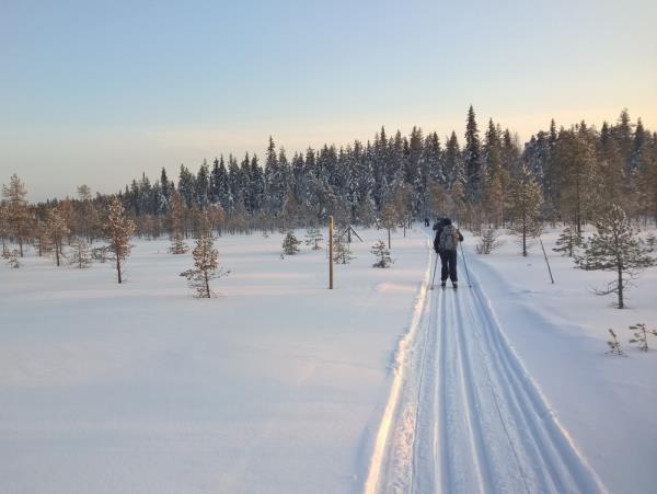 Cross-country skiing holiday in Finland's eastern wilderness