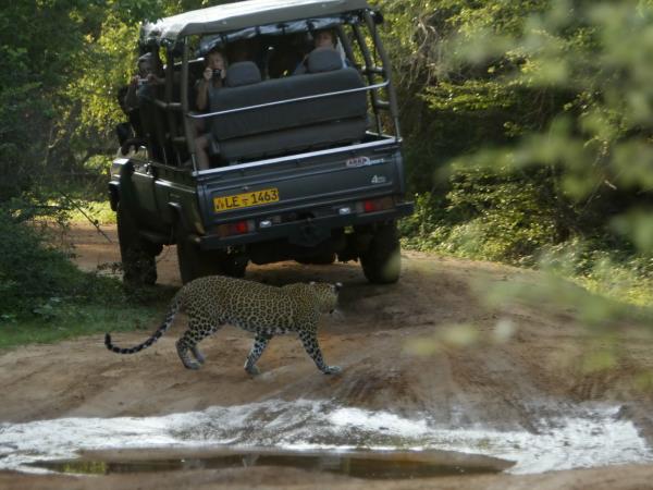 Sri Lanka boutique hotels holiday