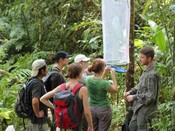 Amazon conservation project in Peru