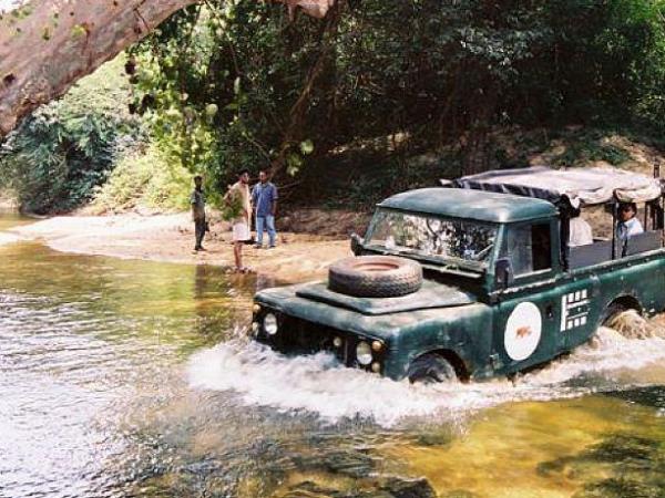 Elephant conservation in Sri Lanka