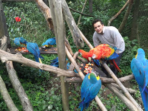 Wildlife volunteering in Bolivia