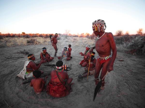Namibia carnivore conservation & research project