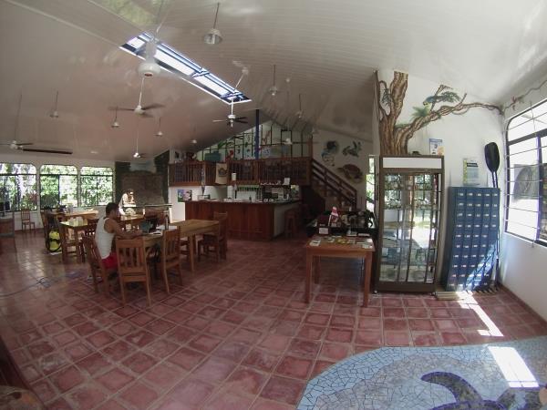 Costa Rica turtle conservation experience