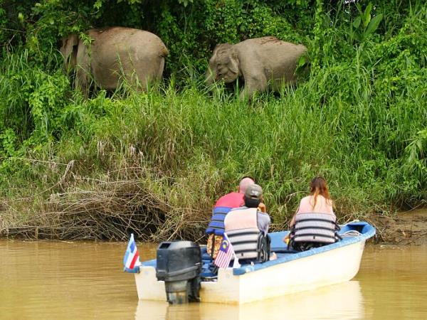 Borneo family volunteering holiday