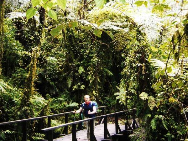 Umbwe Route Kilimanjaro climb