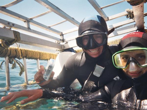 The great white shark conservation project in South Africa