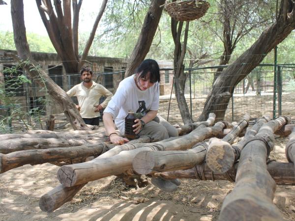Wildlife conservation holiday in India