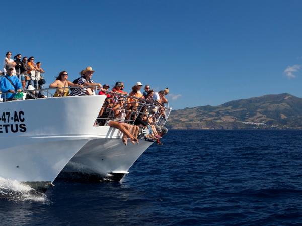 Azores activity holiday, incl swimming with dolphins