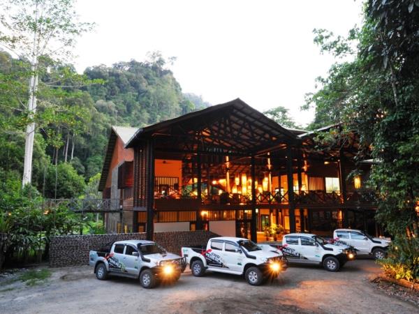 Borneo orangutan holiday