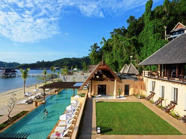 Borneo orangutan holiday